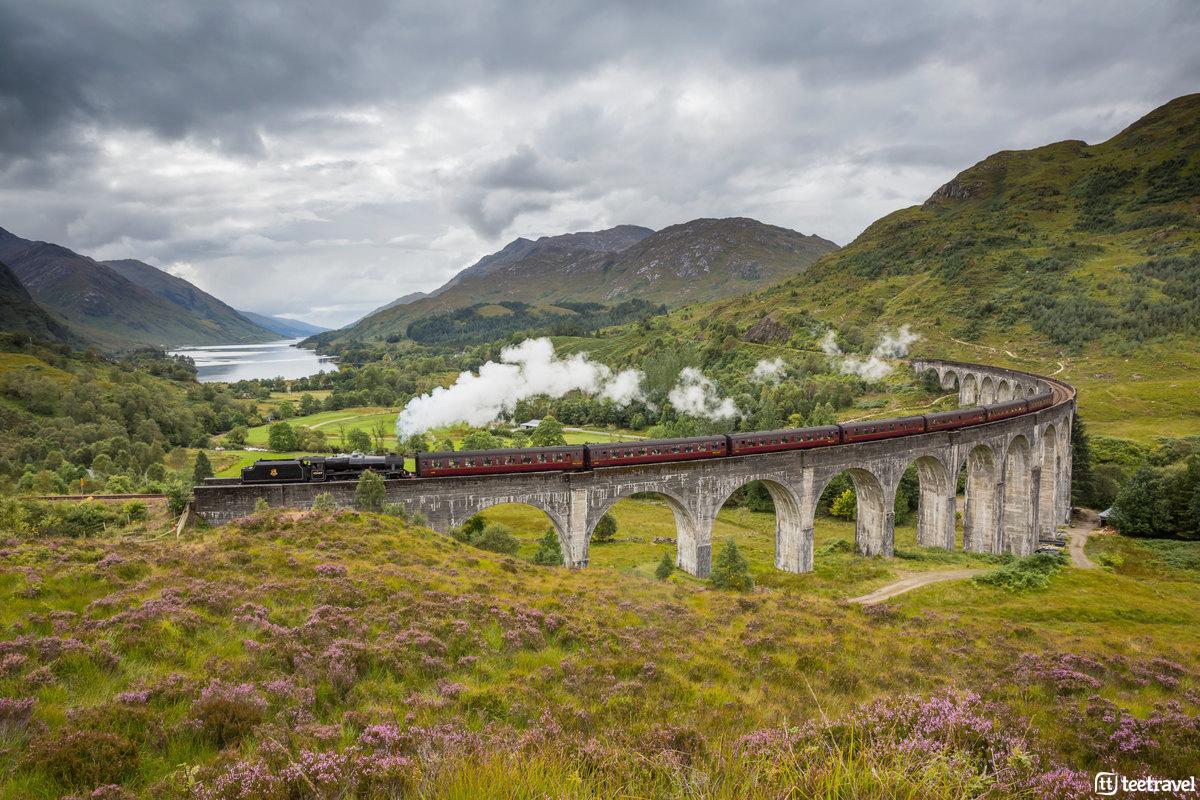 Viaje de naturaleza a Escocia