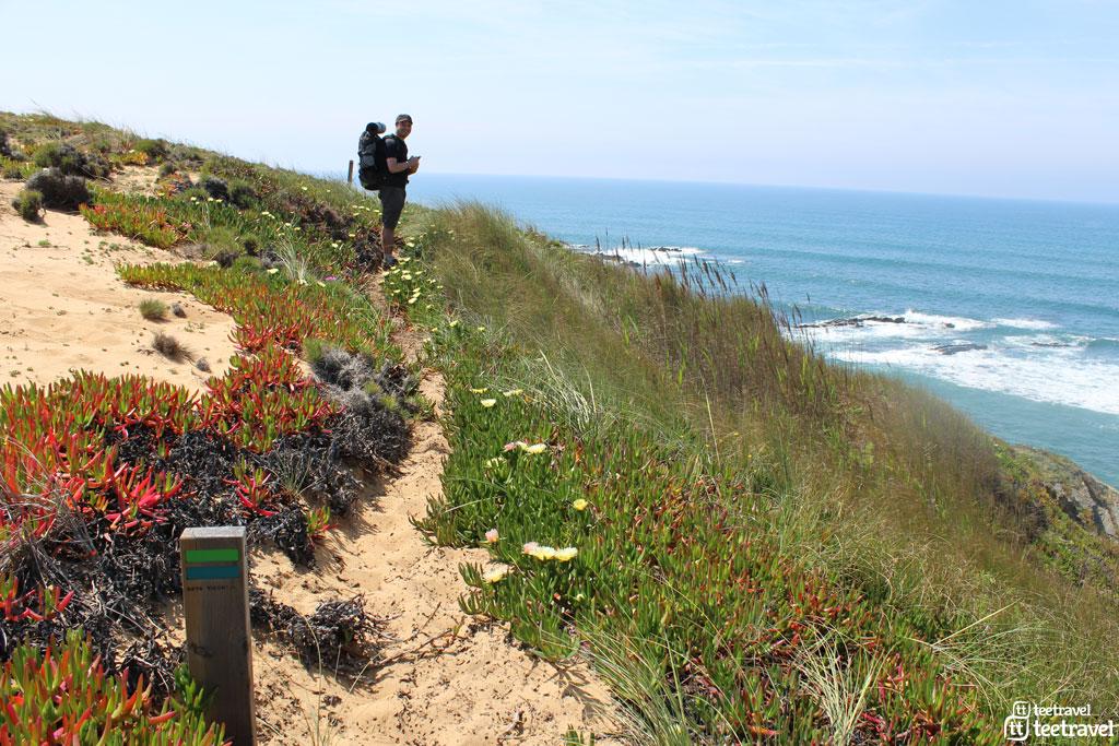 Rota Vicentina