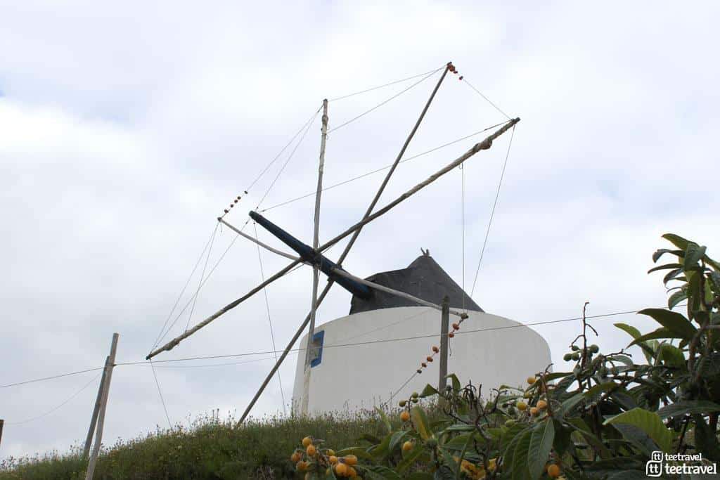 Rota Vicentina