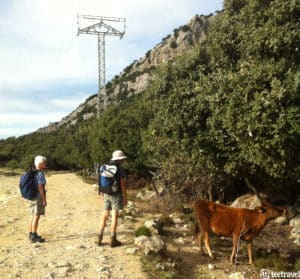 serra-de-tramuntana-sierra-de-tramontana-mallorca-etapa-cuber-soller