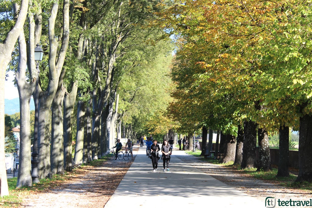 ruta-de-la-toscana-muralla-de-lucca-etapa-lucca-montecatini-terme