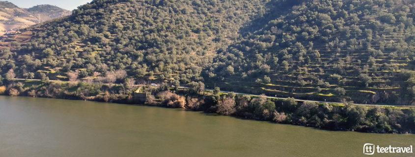 Río Douro y viñedos