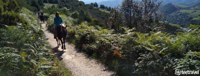 Camino de Santiago a caballo