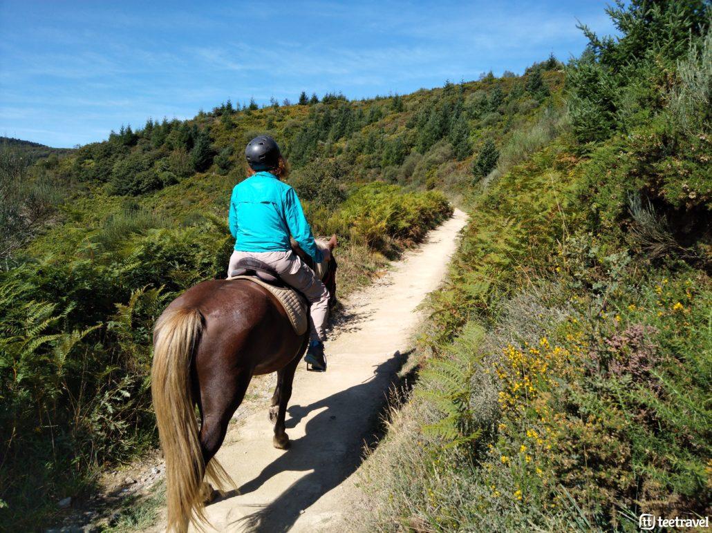 Camino de Santiago a Caballo