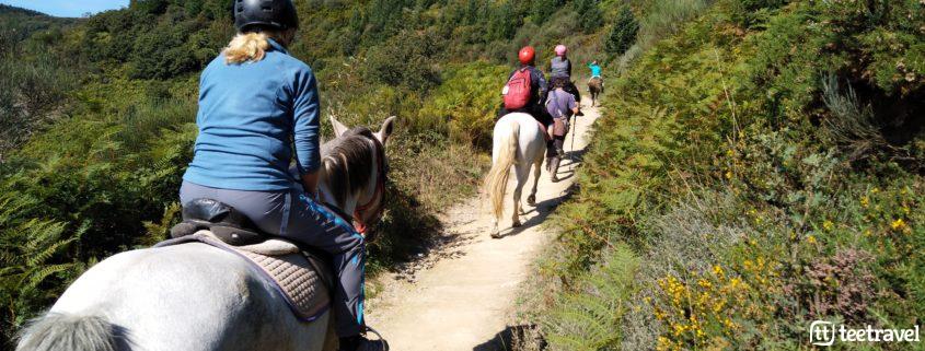 Peregrinos a caballo compartiendo espacio con peregrinos a pie con el casco recomendado