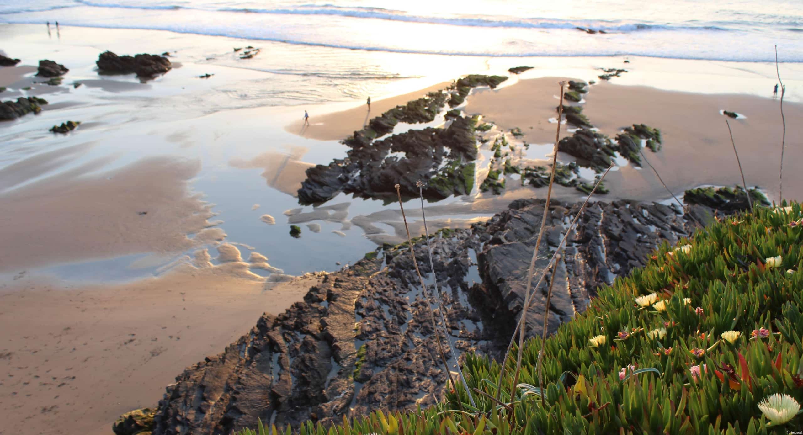 Blog Tee Travel - Rota Vicentina y sus dos senderos