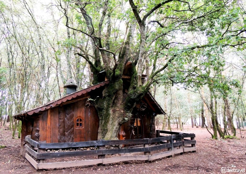 Que hacer en el Camino Primitivo - Mercelle Naturaleza