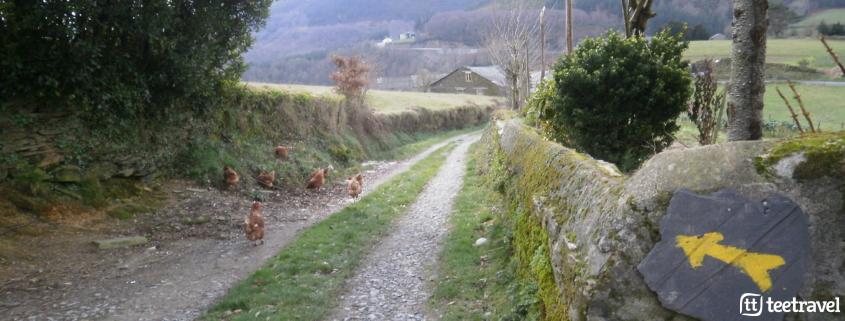 Que hacer en el Camino Primitivo: disfrutar del rural gallego