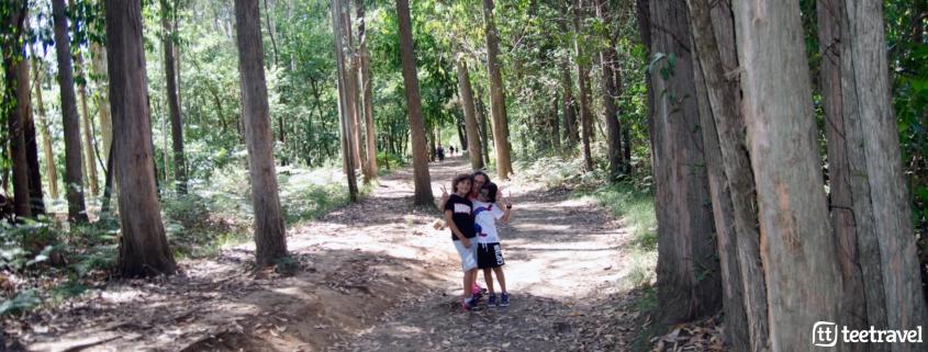 Camino de Santiago con niños - con los peques en el Camino