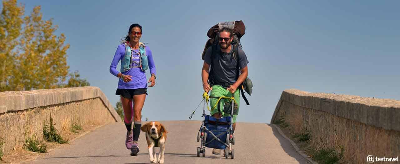 El Camino de Santiago con tu mascota