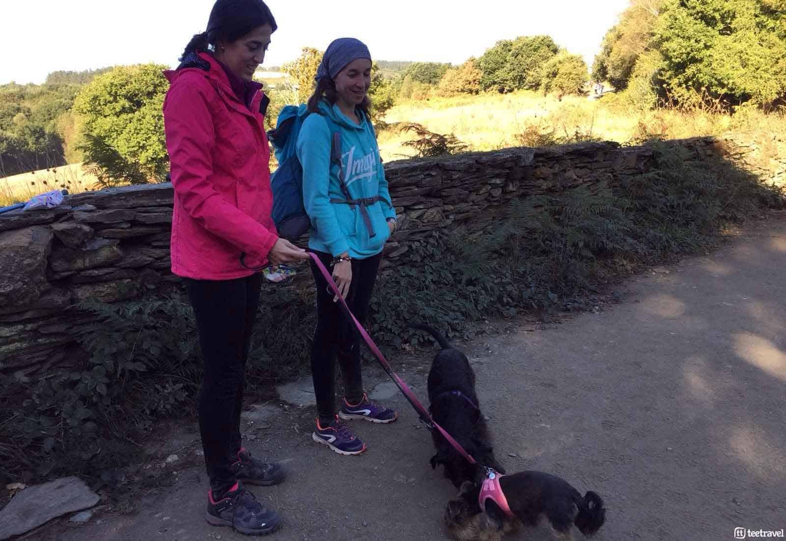 El Camino de Santiago con tu mascota - peregrinas con sus mascotas