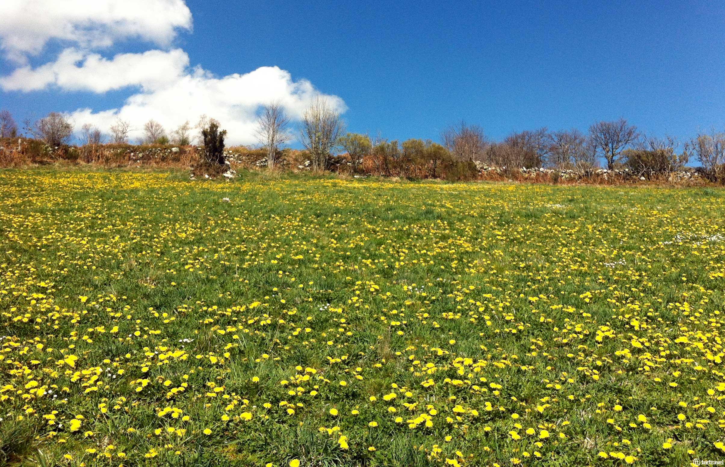 Camino de Santiago en bici y en grupo – 18 de mayo