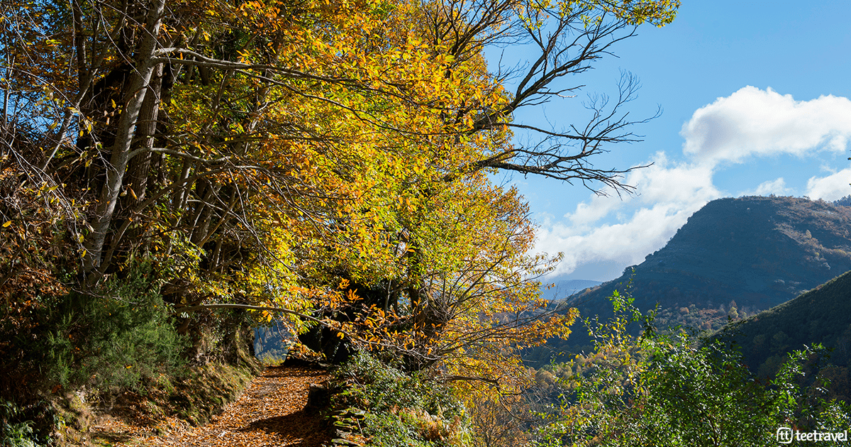 Camino de Santiago que debes conocer: El Camino del Norte