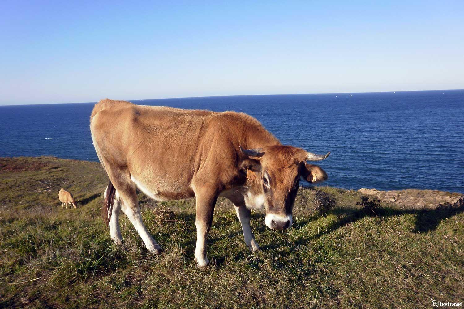 Camino de la Costa - Castro Urdiales