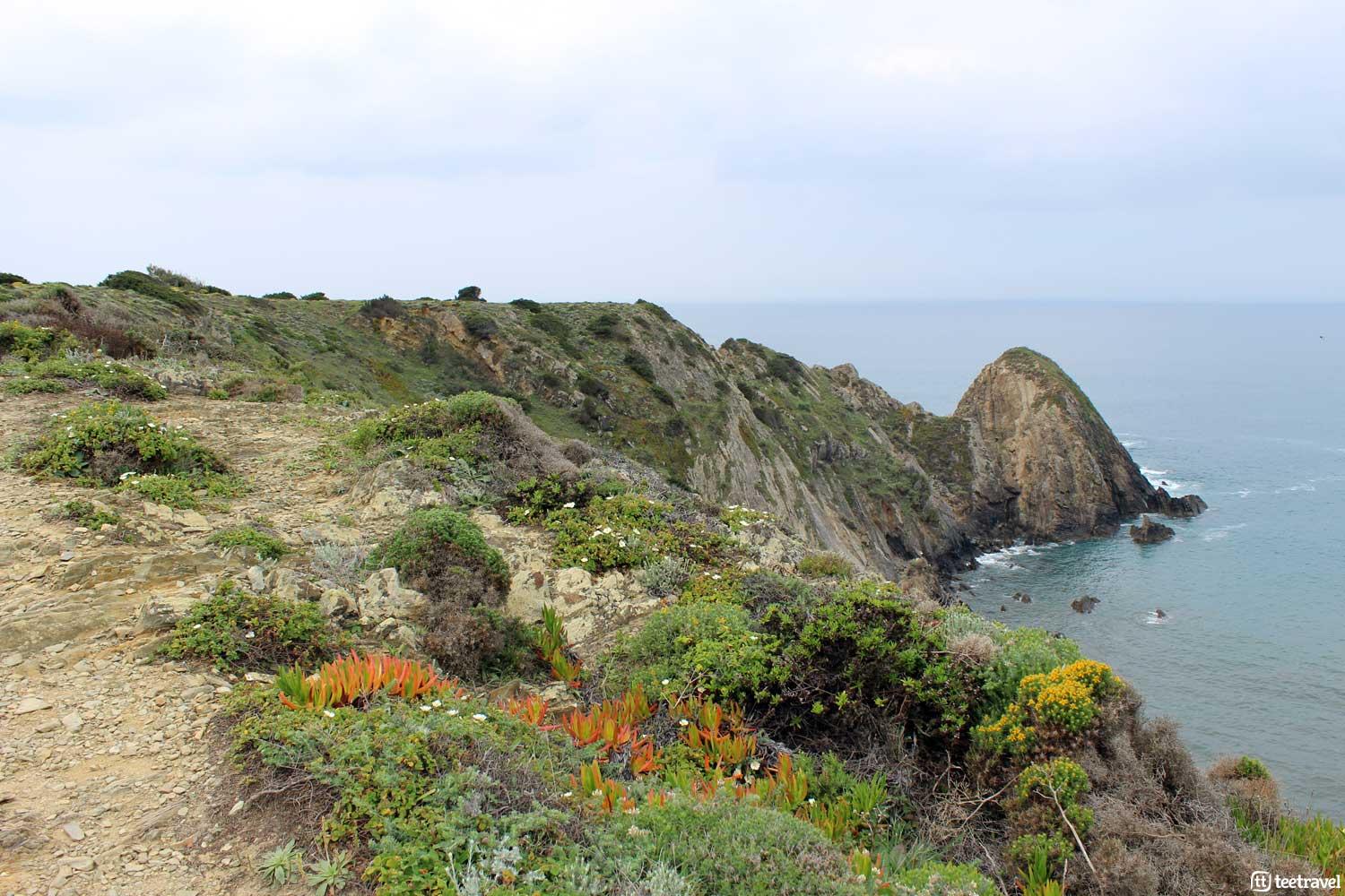 Senderismo en la Costa Vicentina - Etapa Zambujeira do Mar-Odeceixe