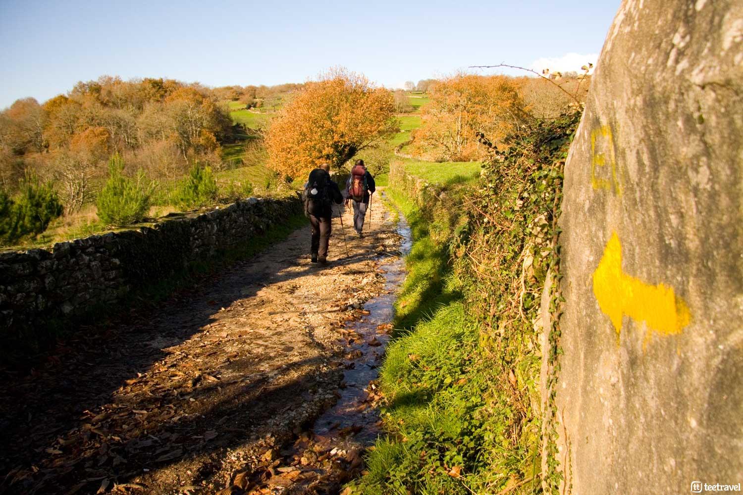 El Camino de Santiago de Compostela en otoño