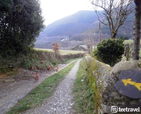 Que camino de santiago hacer