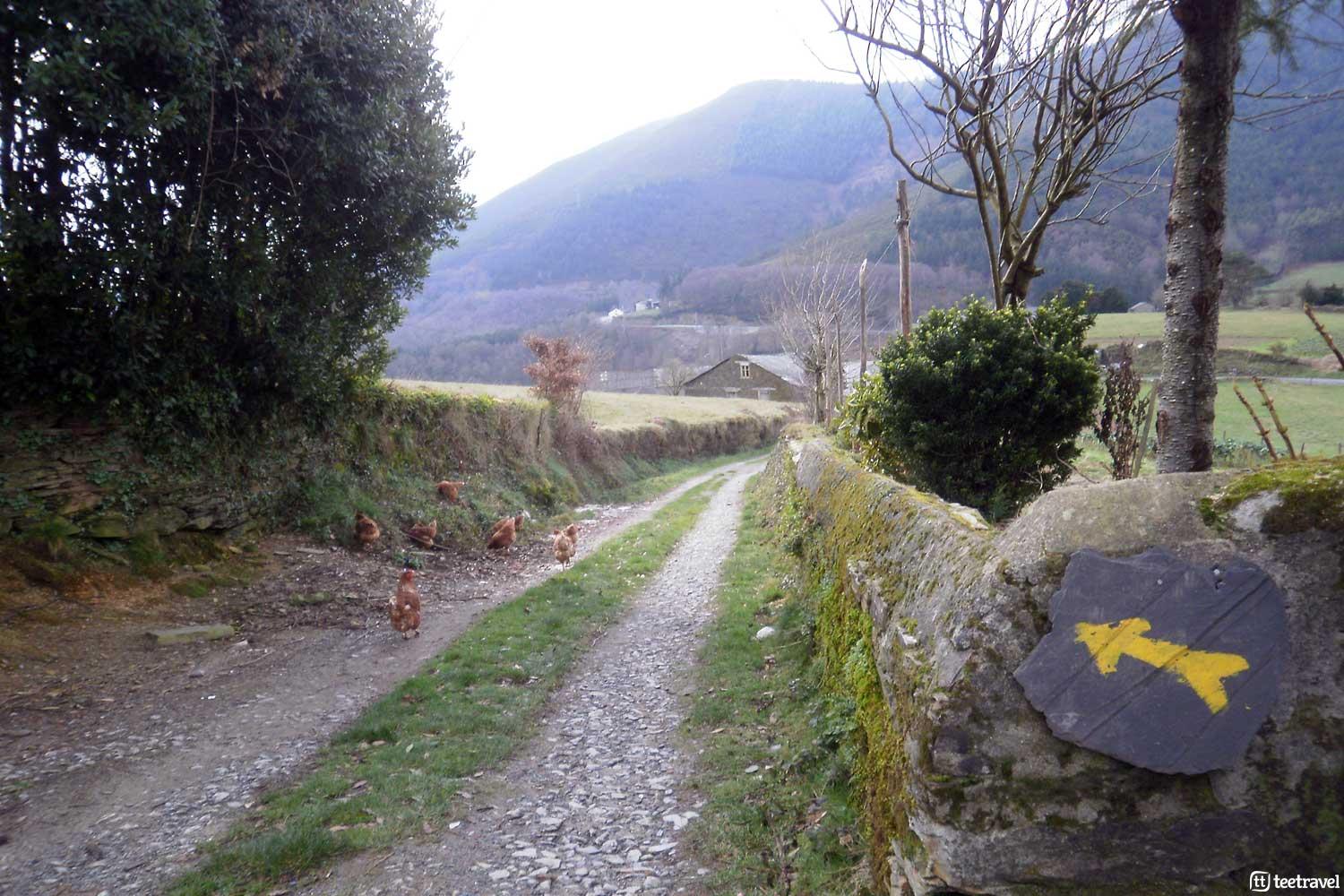 Camino Primitivo