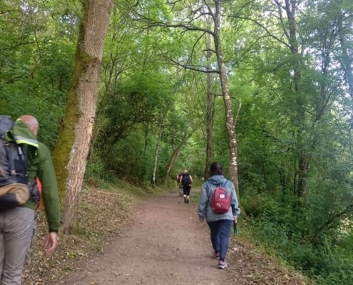 Camino Francés Sarria-Santiago