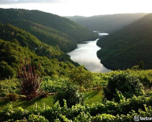 Camino de Invierno, Ribeira Sacra