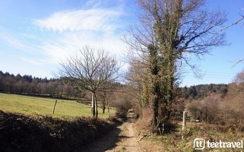 Camino de Santiago