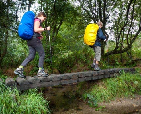 Camino de Santiago organizado