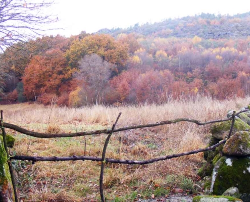Camino de Invierno