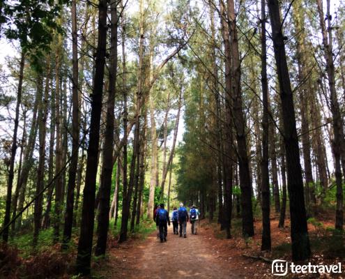 Hacer el Camino de Santiago organizado