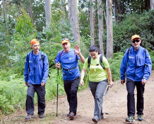 Camino de Santiago en otoño