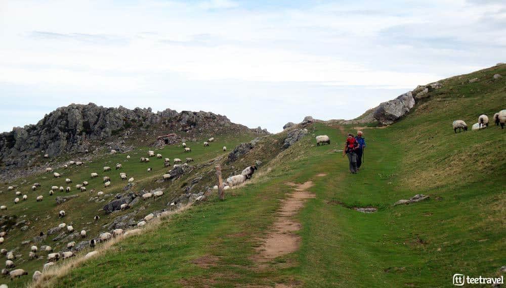 Camino de Santiago
