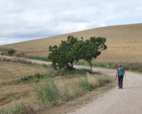 Donde empieza el Camino de Santiago