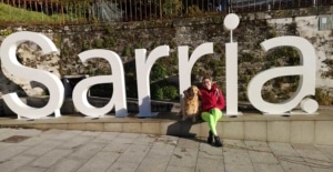 camino frances desde Sarria