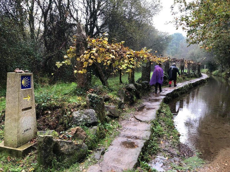 Camino de Santiago en una semana - Camino Portugués
