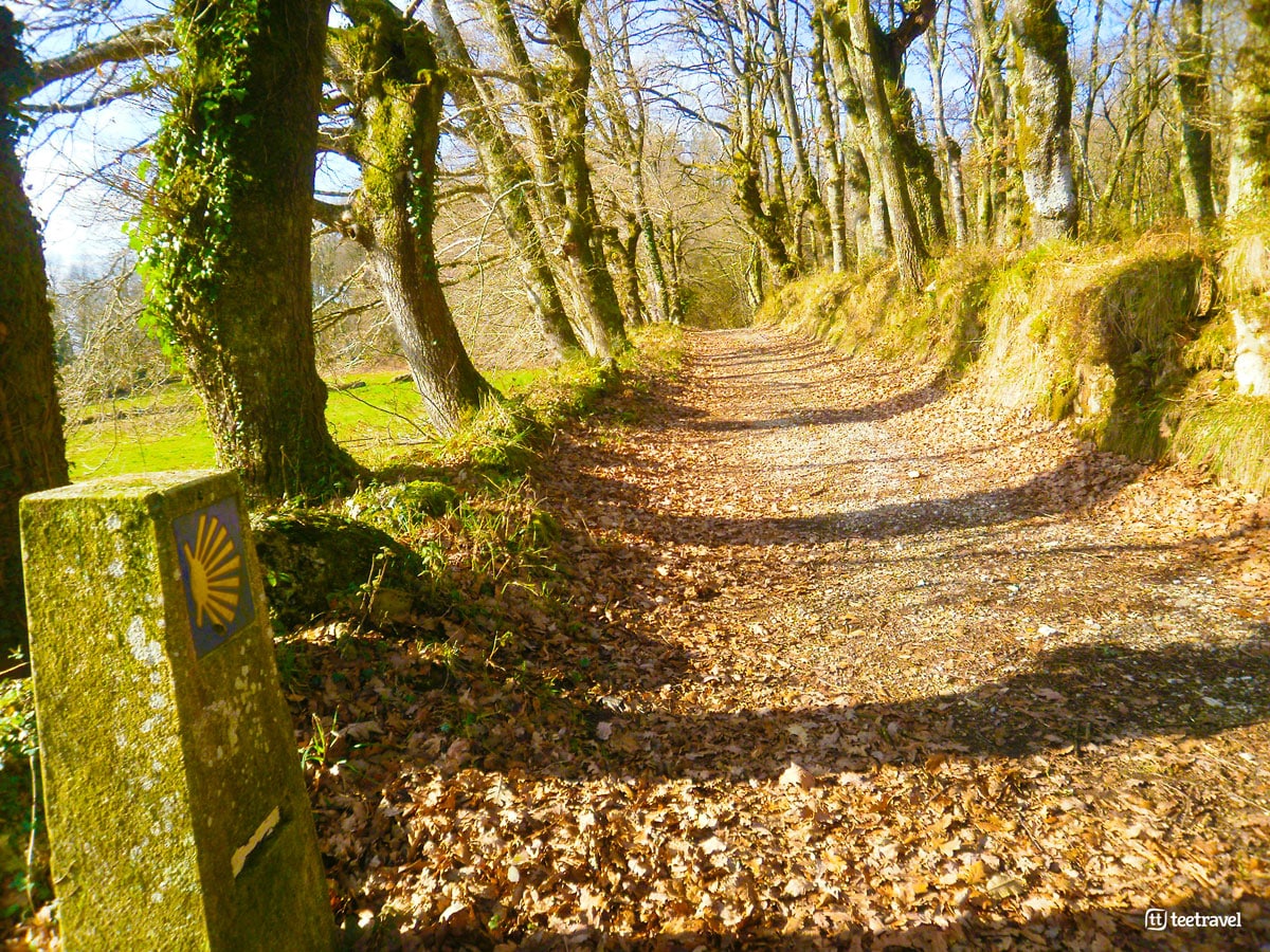 Camino Primitivo