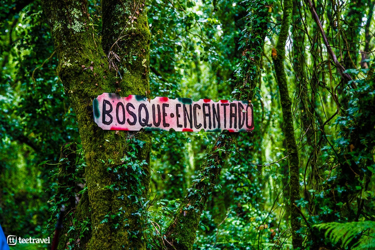 Camino Inglés - Betanzos - Bosque Encantado