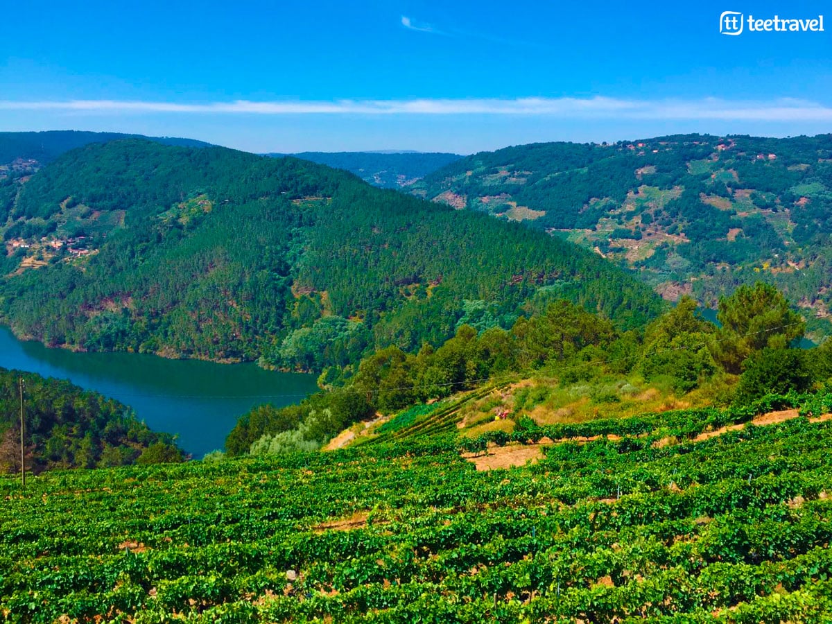 Camino de Invierno - Ribeira Sacra