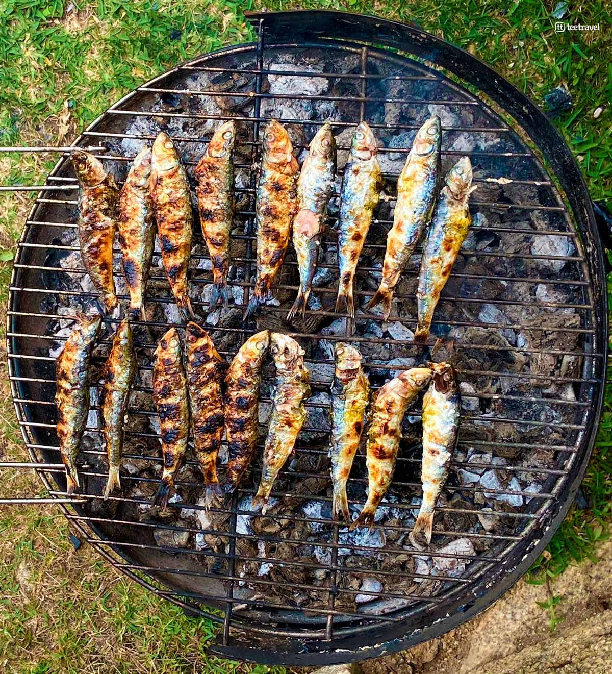 Galicia - Plato Típico de la Noche de San Juan - Sardinas Asadas
