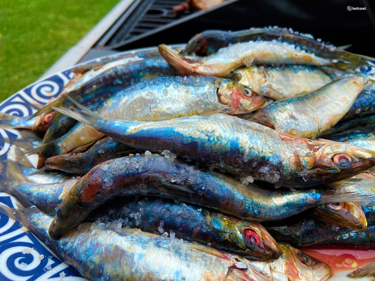 Gastronomía - Galicia - Sardinas frescas