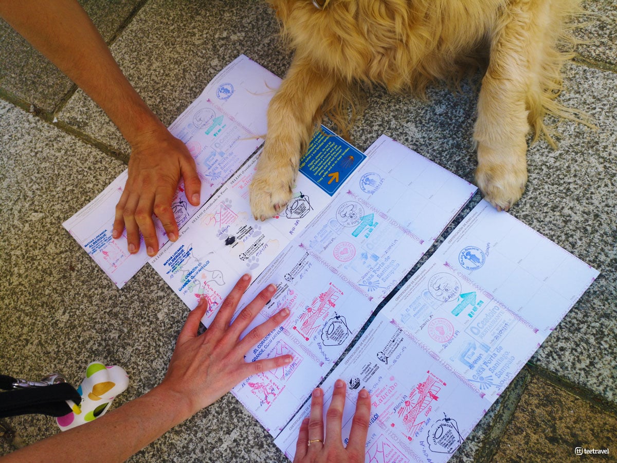 Credencial Canina