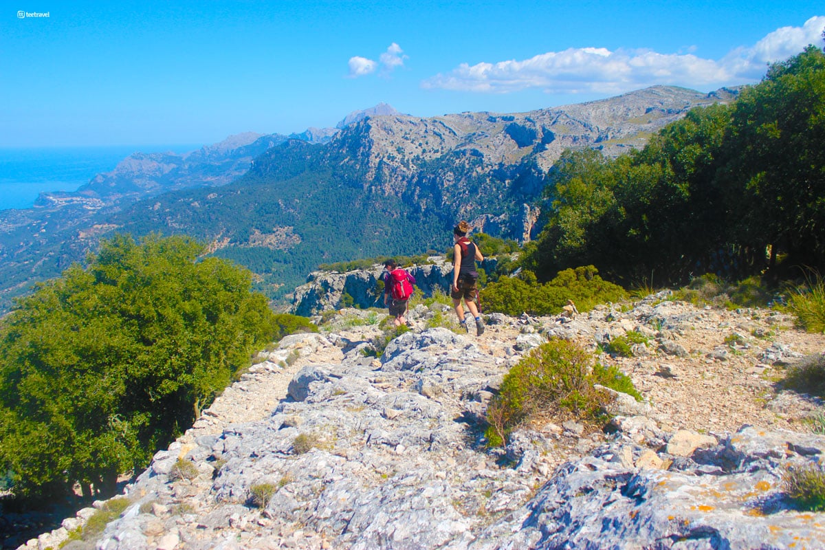 excursion tramuntana mallorca