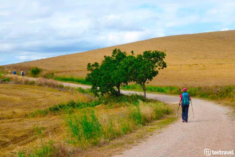 Camino Francés