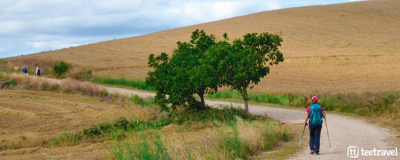 Camino de Santiago Francés - Etapa Roncesvalles-Logroño
