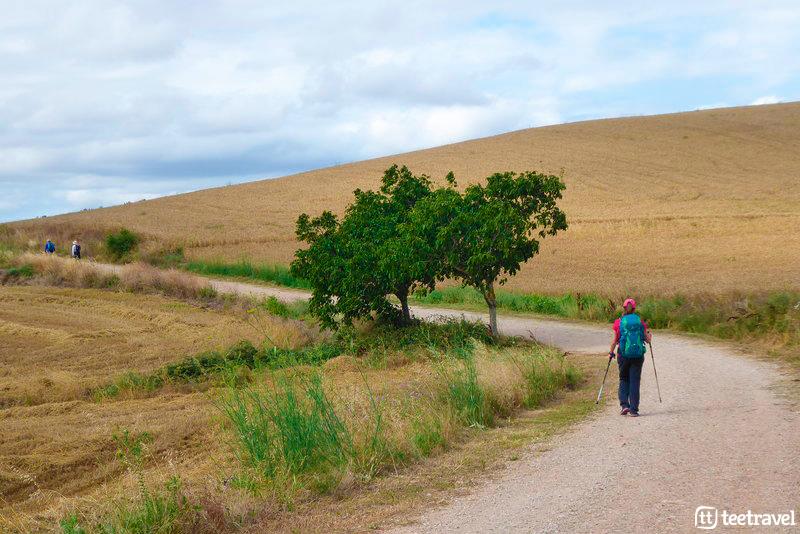 Camino de Santiago Francés - Etapa Roncesvalles-Logroño