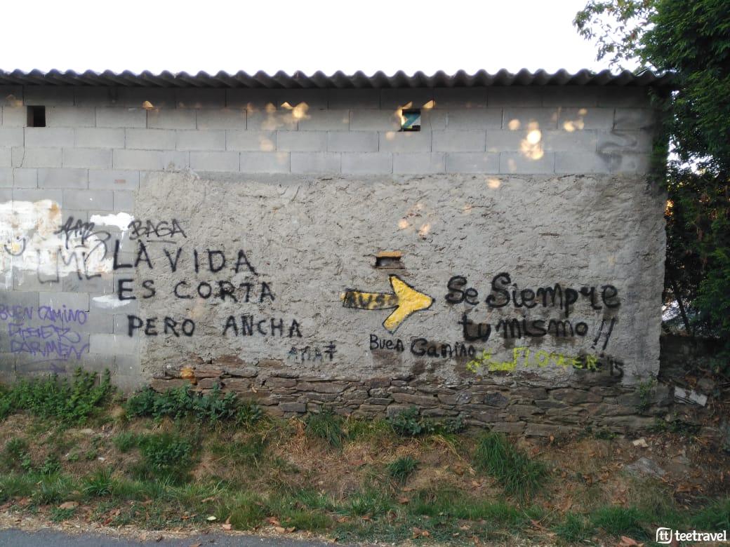 Camino Francés - Amenal