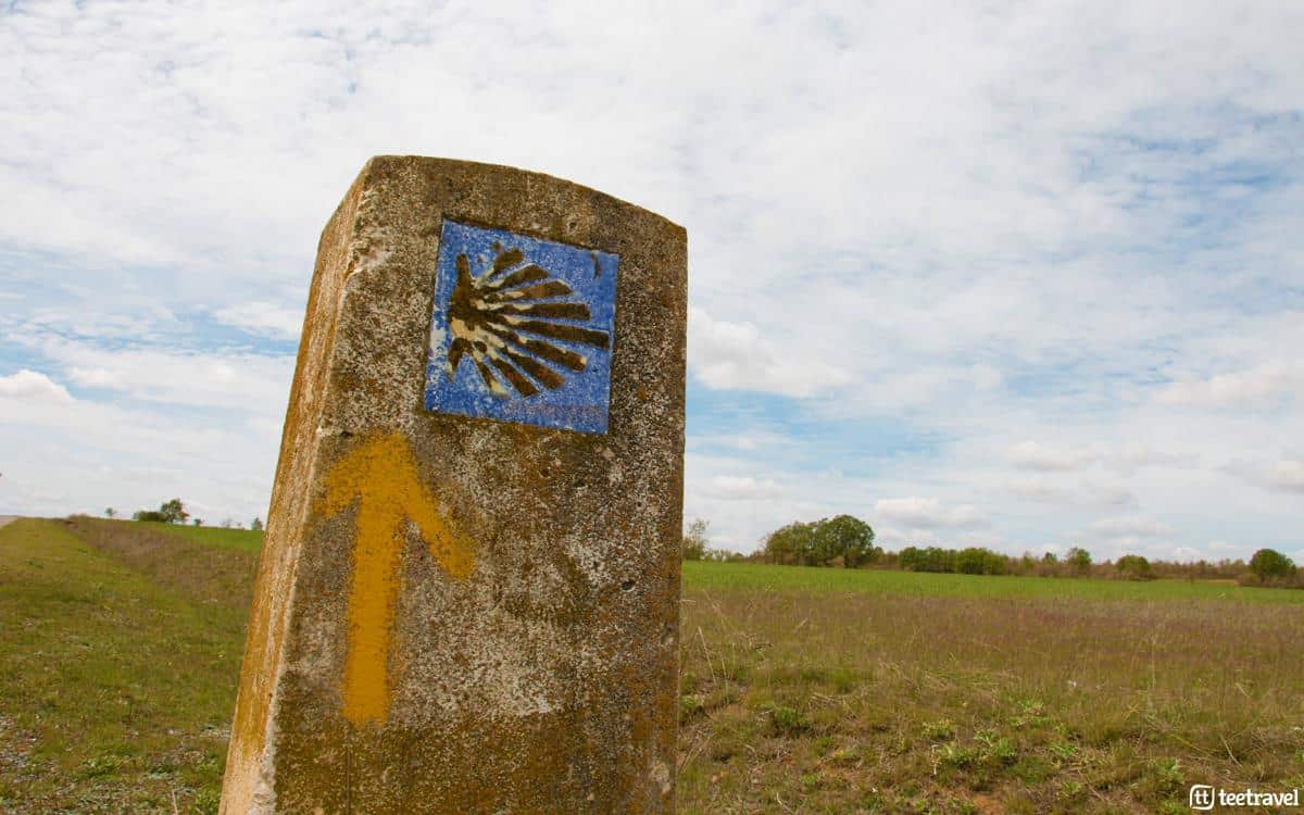 Camino Francés - León