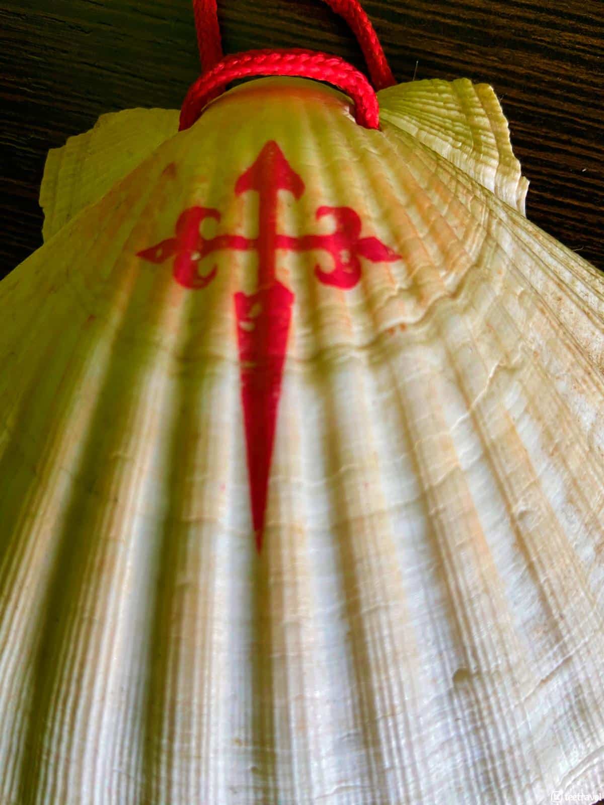 Concha de Vieira con Cruz de Santiago