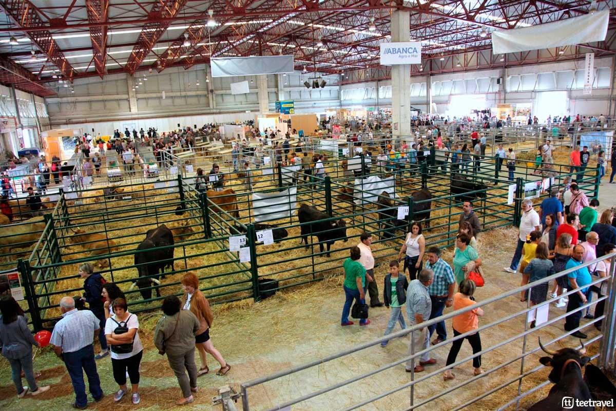 Silleda - Recinto Ferial Internacional de Galicia