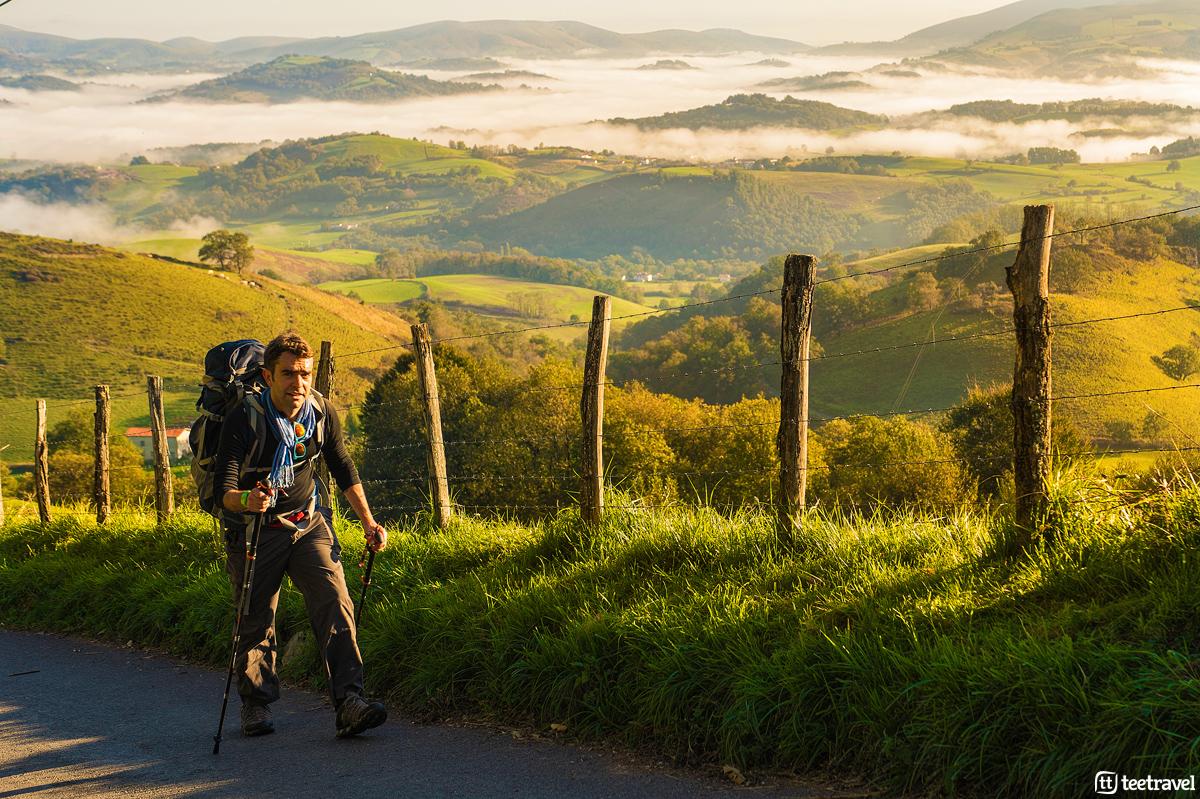 Camino de Santiago Francés