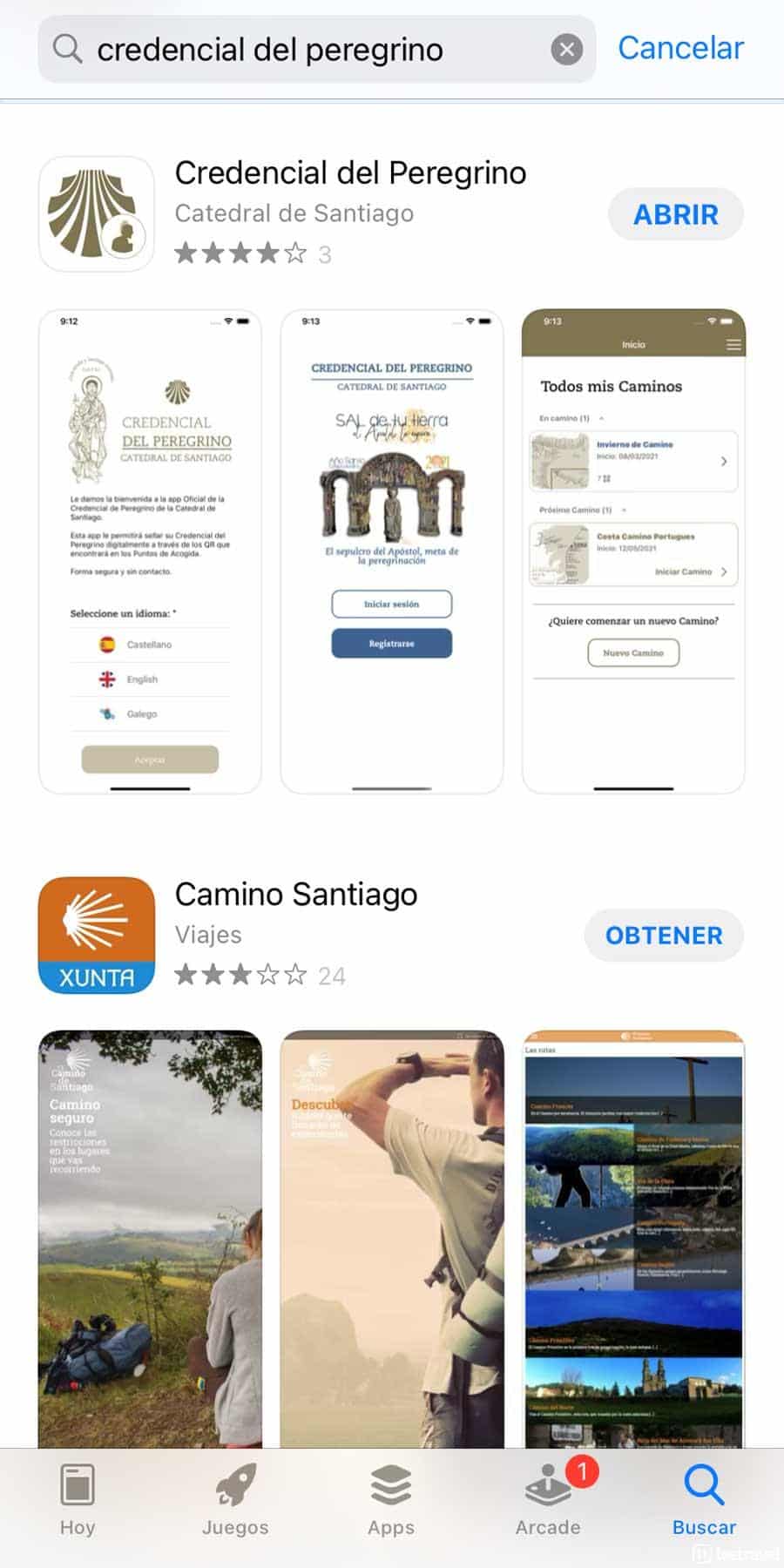 Buscador APP Store - Credencial del Peregrino