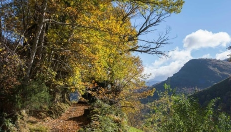 Blog Tee Travel - Camino de Invierno | Una escapada diferente
